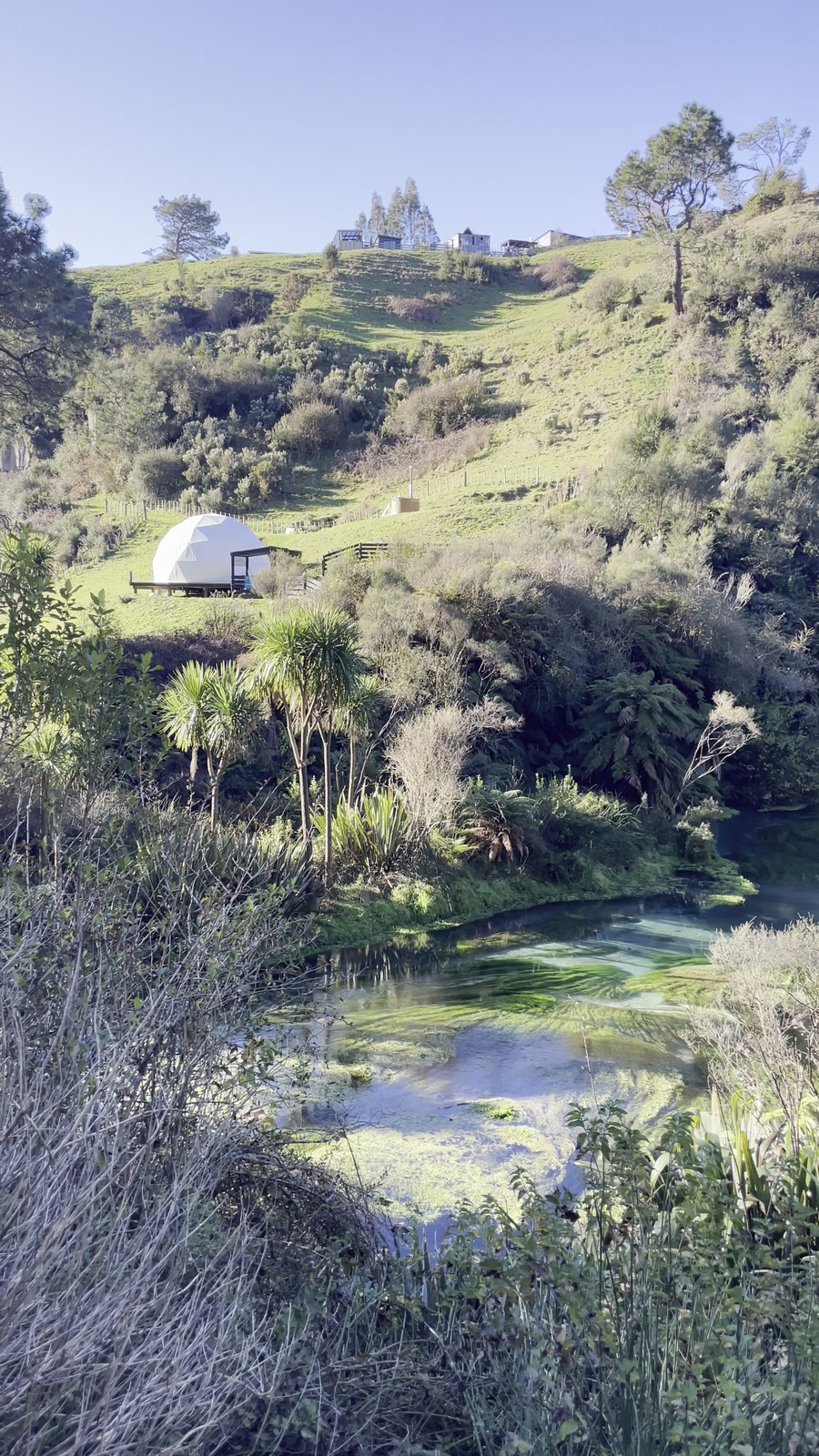 Lush green hills above a clear spring