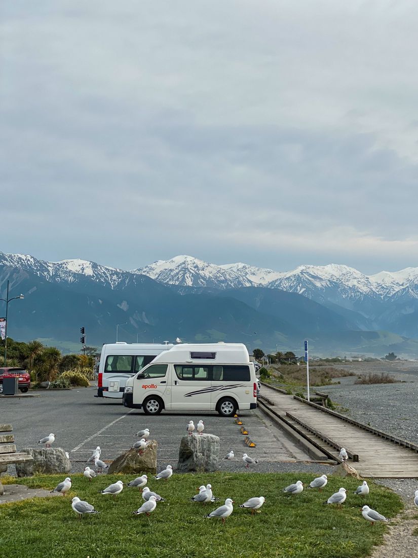Campervan by snowy mountains in Kaikoura